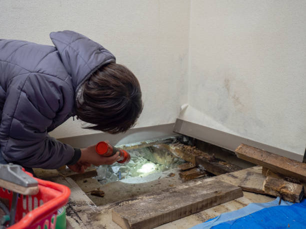 Best Post-Remediation Verification Testing  in Wallace, FL