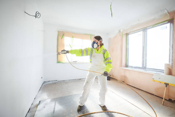 Best Mold Odor Removal Services  in Wallace, FL
