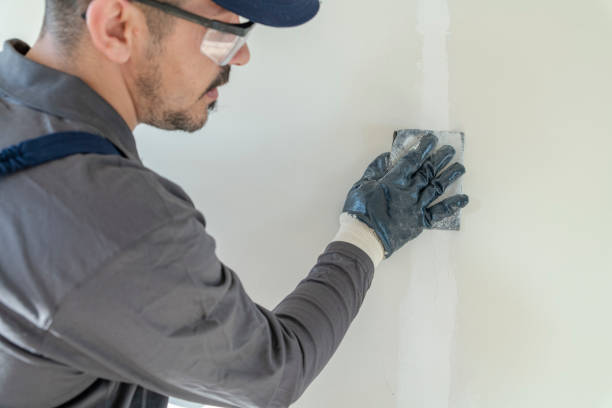 Trusted Wallace, FL Mold Removal Experts
