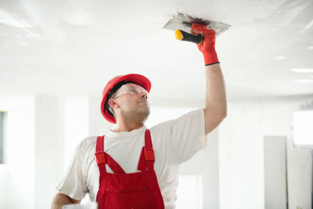 Best Crawl Space Mold Remediation  in Wallace, FL