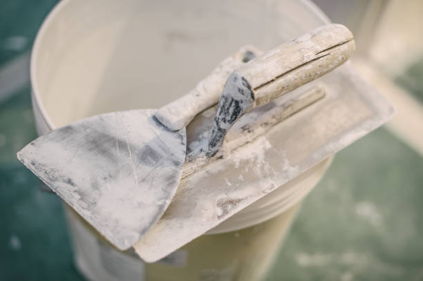 Best Commercial Mold Inspection  in Wallace, FL
