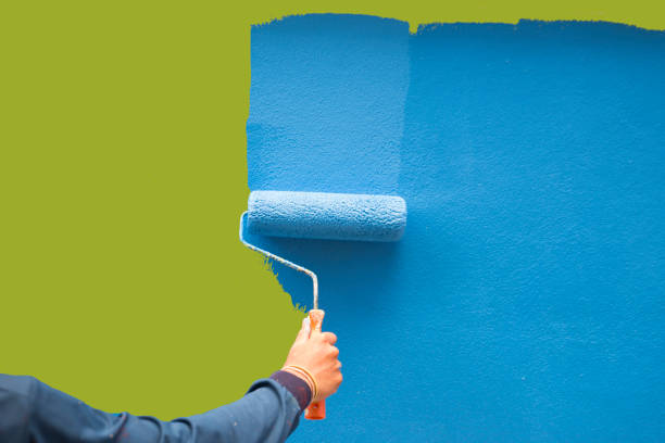 Best Basement Mold Removal  in Wallace, FL